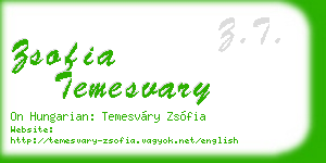 zsofia temesvary business card